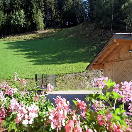 In Near Red 8 Gondola, Cleaning Included * Wagrain